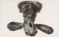KT 1997 079
<br/>
Zonder titel (Hertenkop van onderen gezien)
<br/>
<em>Wit, Hans de (1952)</em>